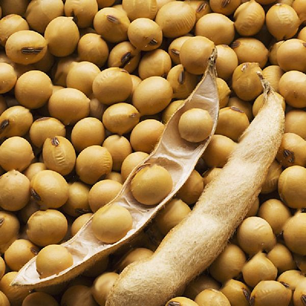 Soybeans