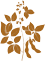 Soybeans