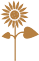 Sunflower seeds